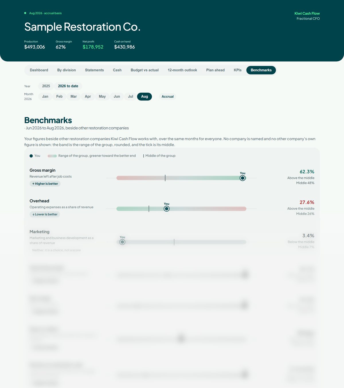 Sample benchmark page comparing an invented company with a peer group